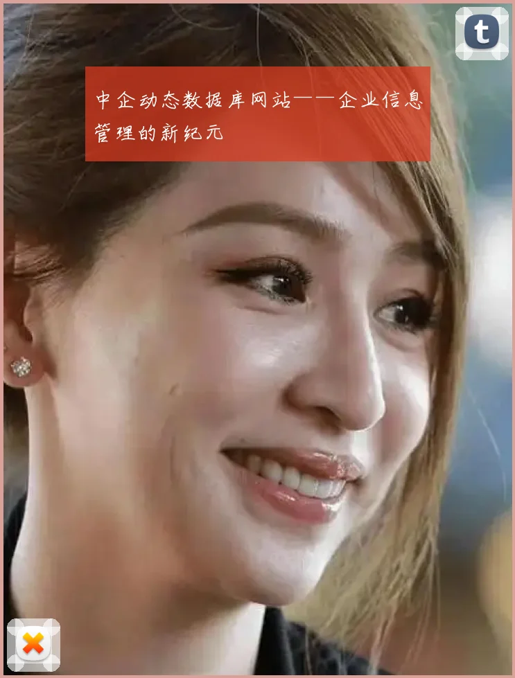 中企动态数据库网站——企业信息管理的新纪元
