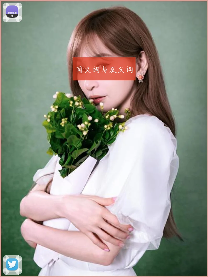 同义词与反义词