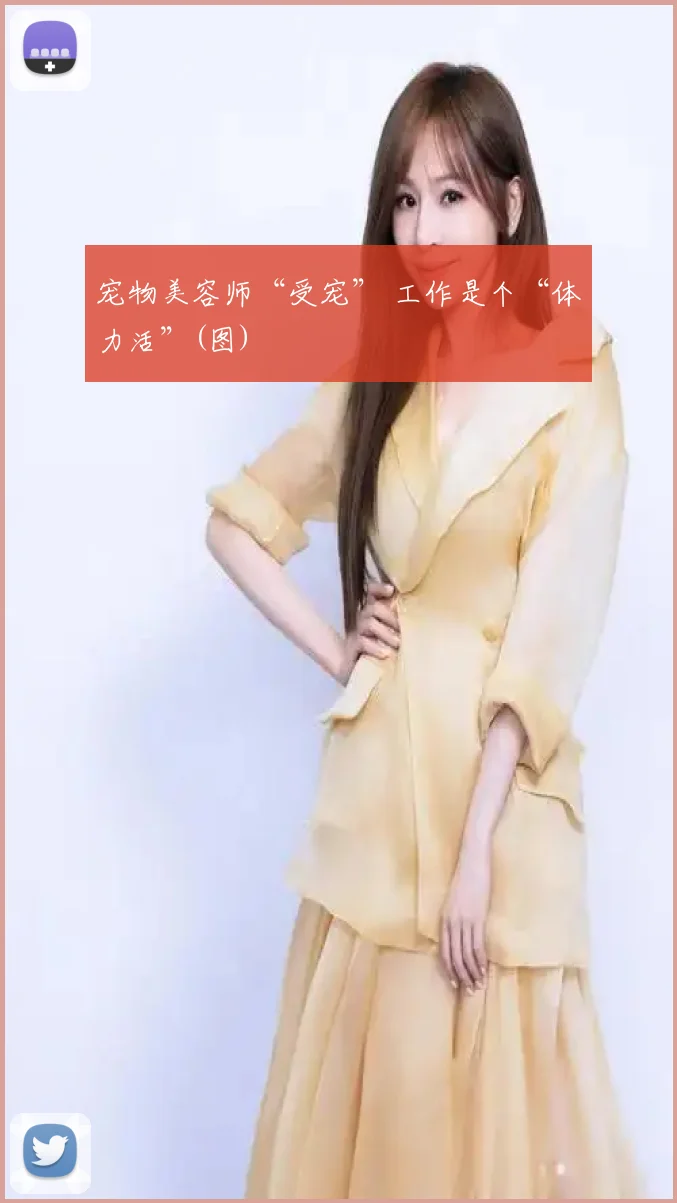 宠物美容师“受宠” 工作是个“体力活”(图)