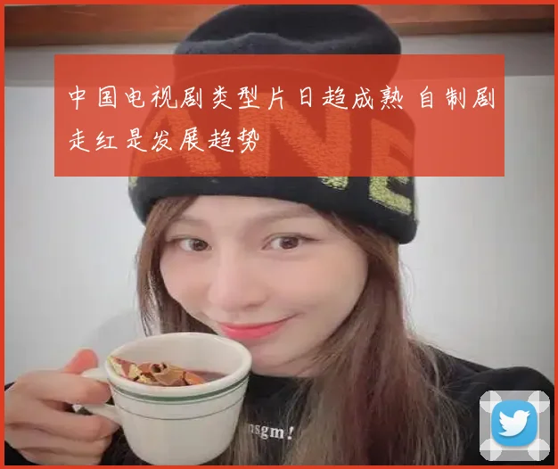 中国电视剧类型片日趋成熟 自制剧走红是发展趋势