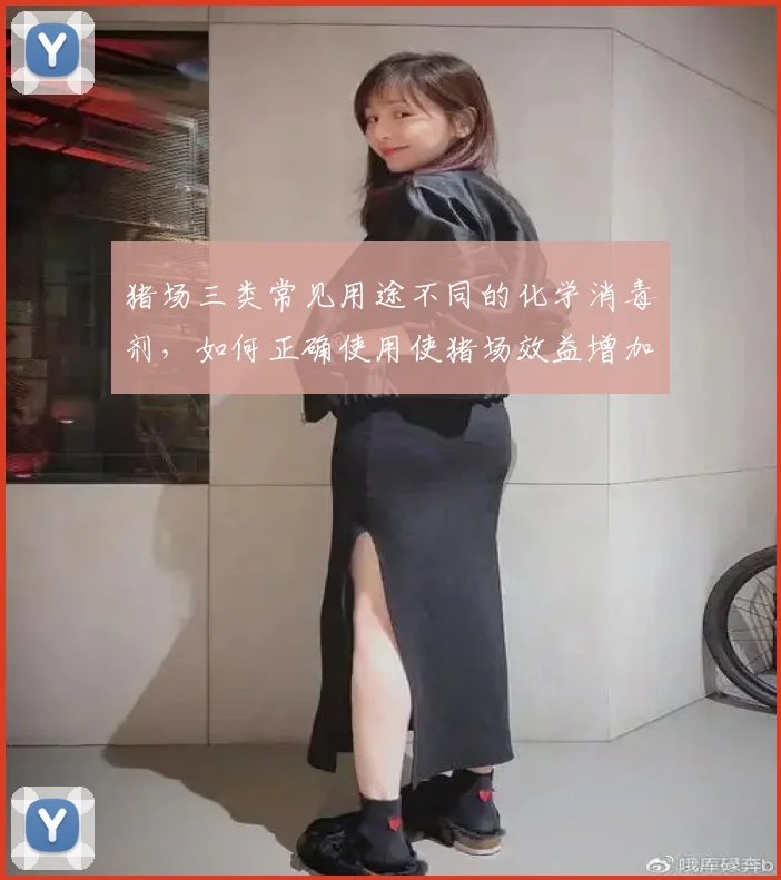 猪场三类常见用途不同的化学消毒剂，如何正确使用使猪场效益增加