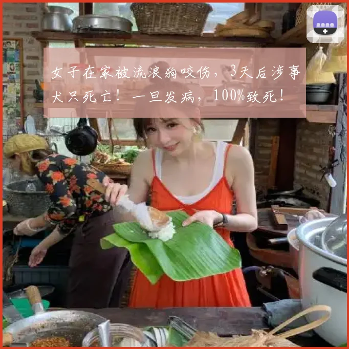 女子在家被流浪狗咬伤，3天后涉事犬只死亡！一旦发病，100%致死！