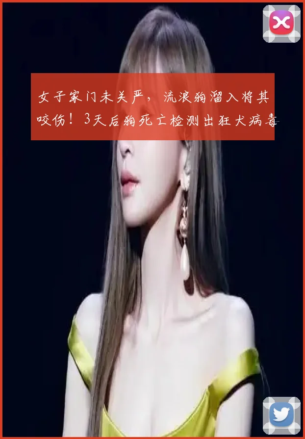 女子家门未关严，流浪狗溜入将其咬伤！3天后狗死亡检测出狂犬病毒阳性；物业：已对狗的活动轨迹区域全面消杀