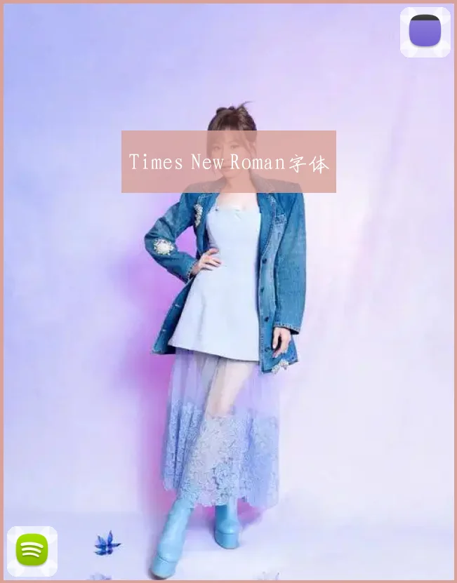Times New Roman字体