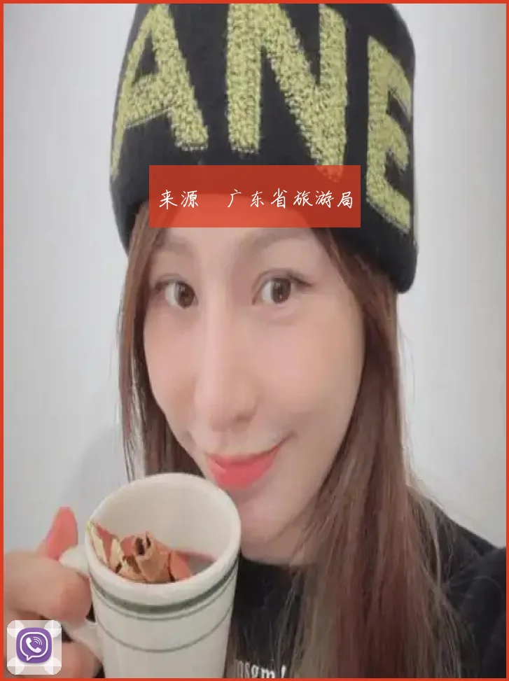 来源 广东省旅游局