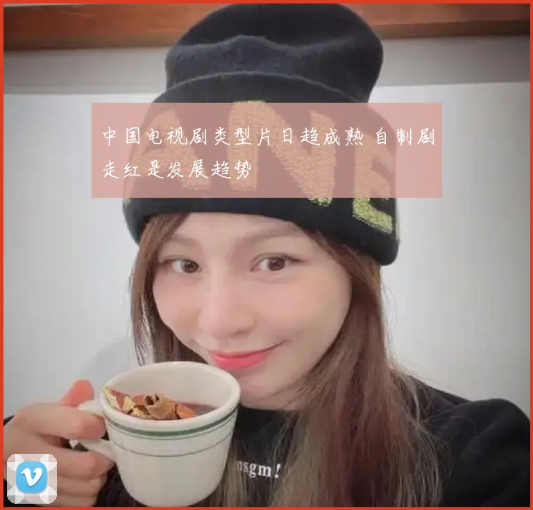 中国电视剧类型片日趋成熟 自制剧走红是发展趋势