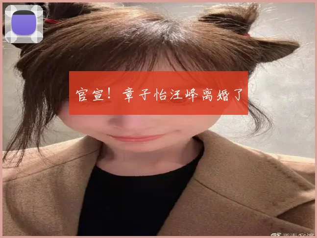 官宣!章子怡汪峰离婚了