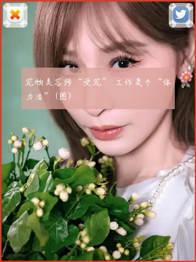宠物美容师“受宠” 工作是个“体力活”(图)