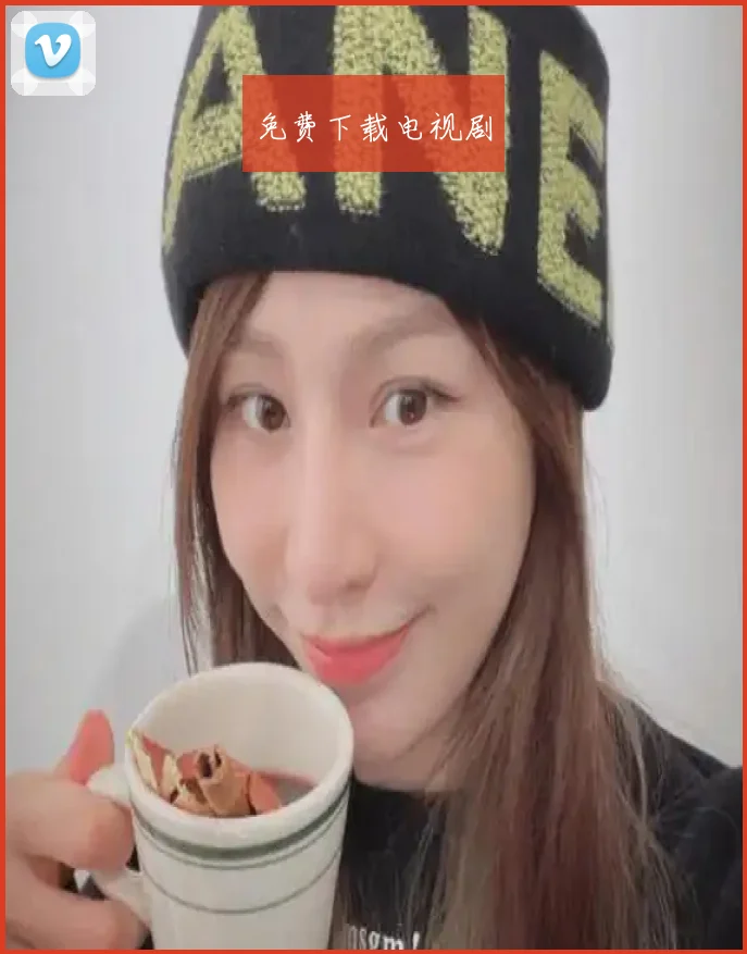 免费下载电视剧