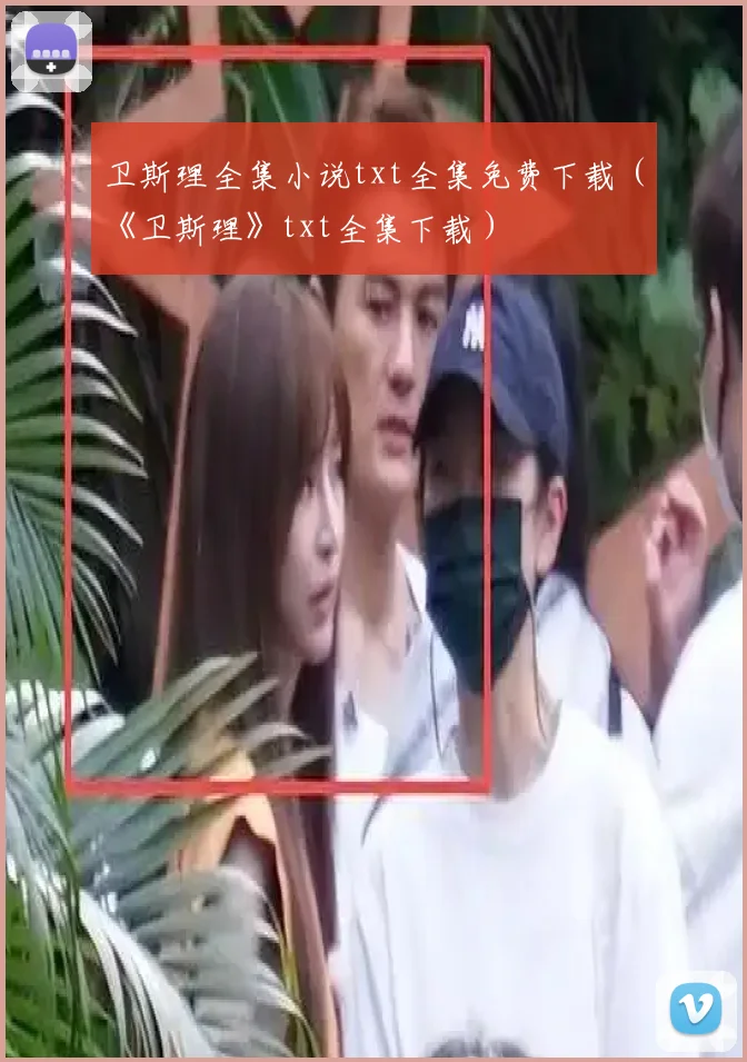 卫斯理全集小说txt全集免费下载(《卫斯理》txt全集下载)