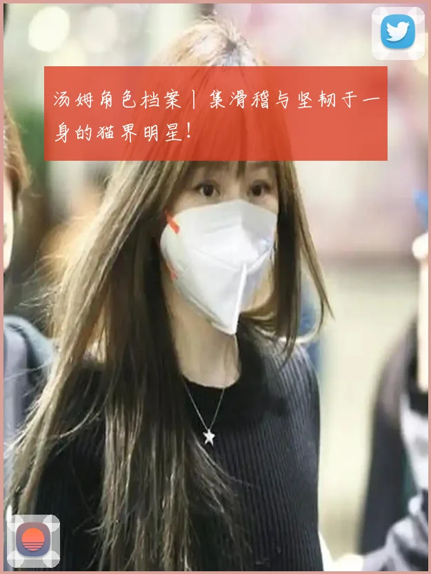 汤姆角色档案丨集滑稽与坚韧于一身的猫界明星！