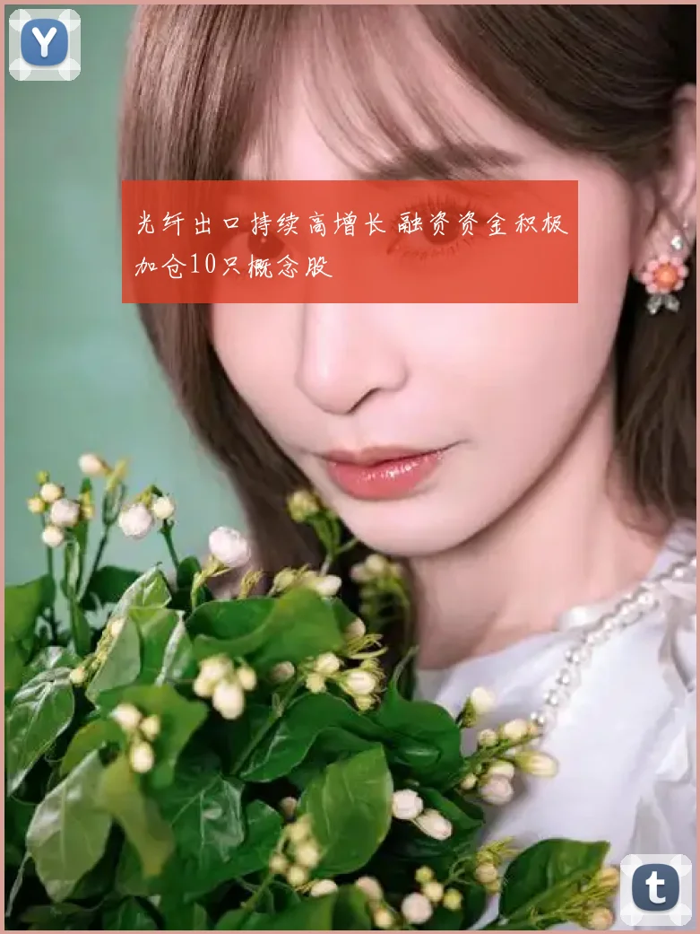 光纤出口持续高增长 融资资金积极加仓10只概念股
