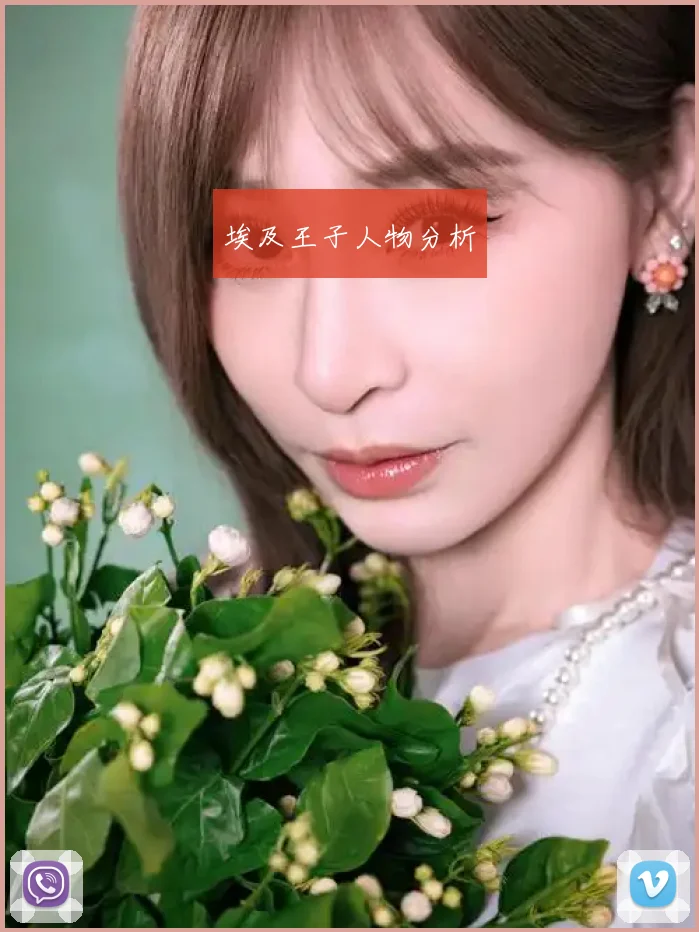 埃及王子人物分析