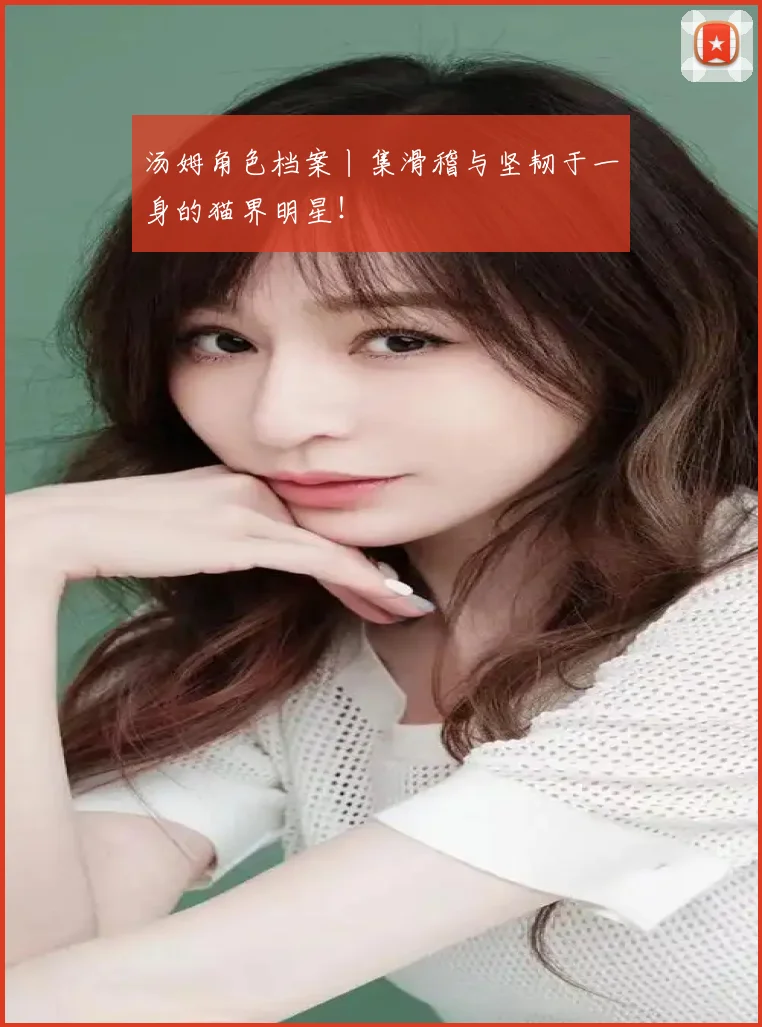 汤姆角色档案丨集滑稽与坚韧于一身的猫界明星！