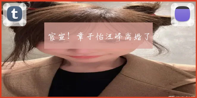 官宣!章子怡汪峰离婚了