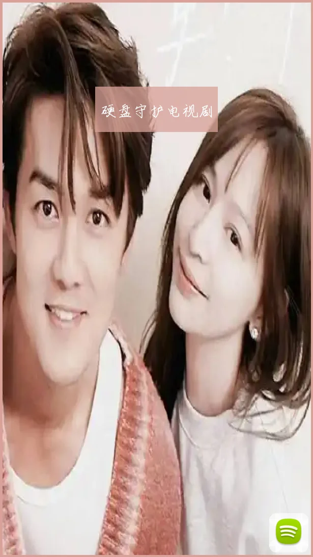 硬盘守护电视剧
