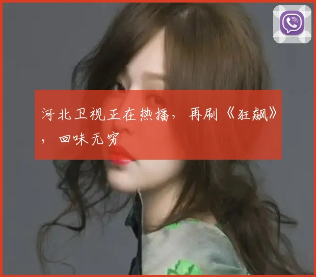 河北卫视正在热播，再刷《狂飙》，回味无穷